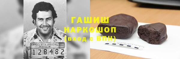 гашик Каменка