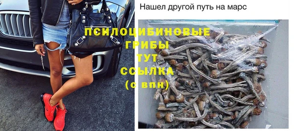 крисы Елабуга