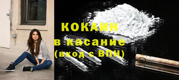гидра Елизово