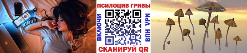 Псилоцибиновые грибы ЛСД  купить наркотики сайты  Киреевск 