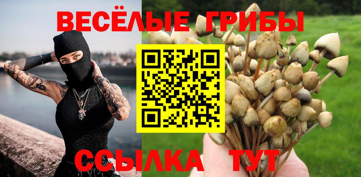 Киреевск  Псилоцибиновые грибы Magic Shrooms  где купить   Псилоцибиновые грибы мицелий  Вход с VPN 